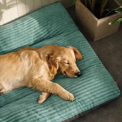 Corduroy Pet Bed