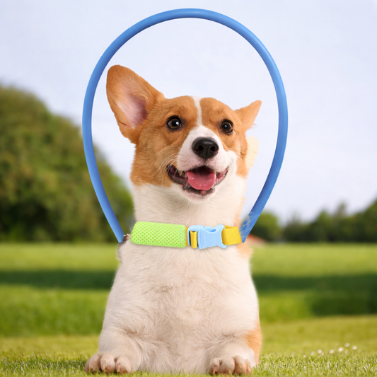 Pet Grooming Guide - Pupporia