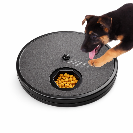 Cat Scratch Pad - Pupporia
