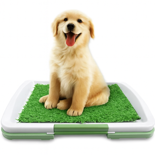 Dog Litter Box System Indoor Toilet - Pupporia