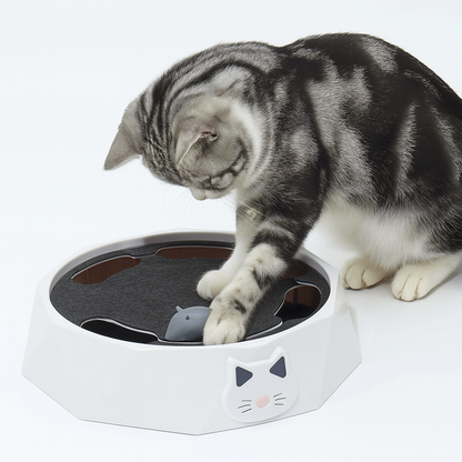 Interactive Hide And Seek Mouse Game - Pupporia