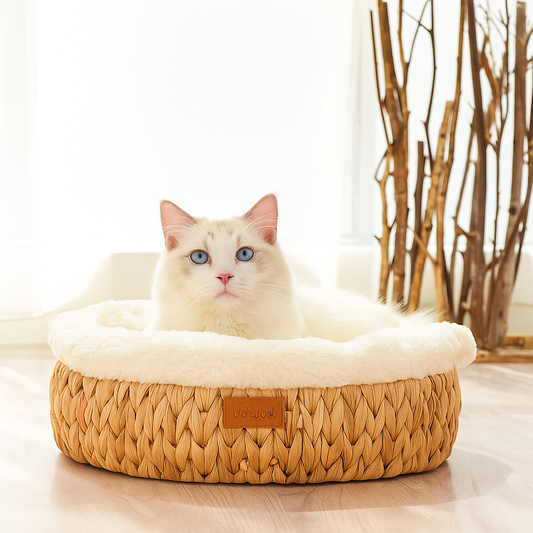 WillowDream Wicker Cat Bed Natural Fiber - Pupporia