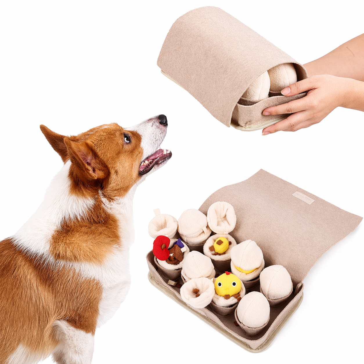 Interactive Egg Pet Toy - Pupporia
