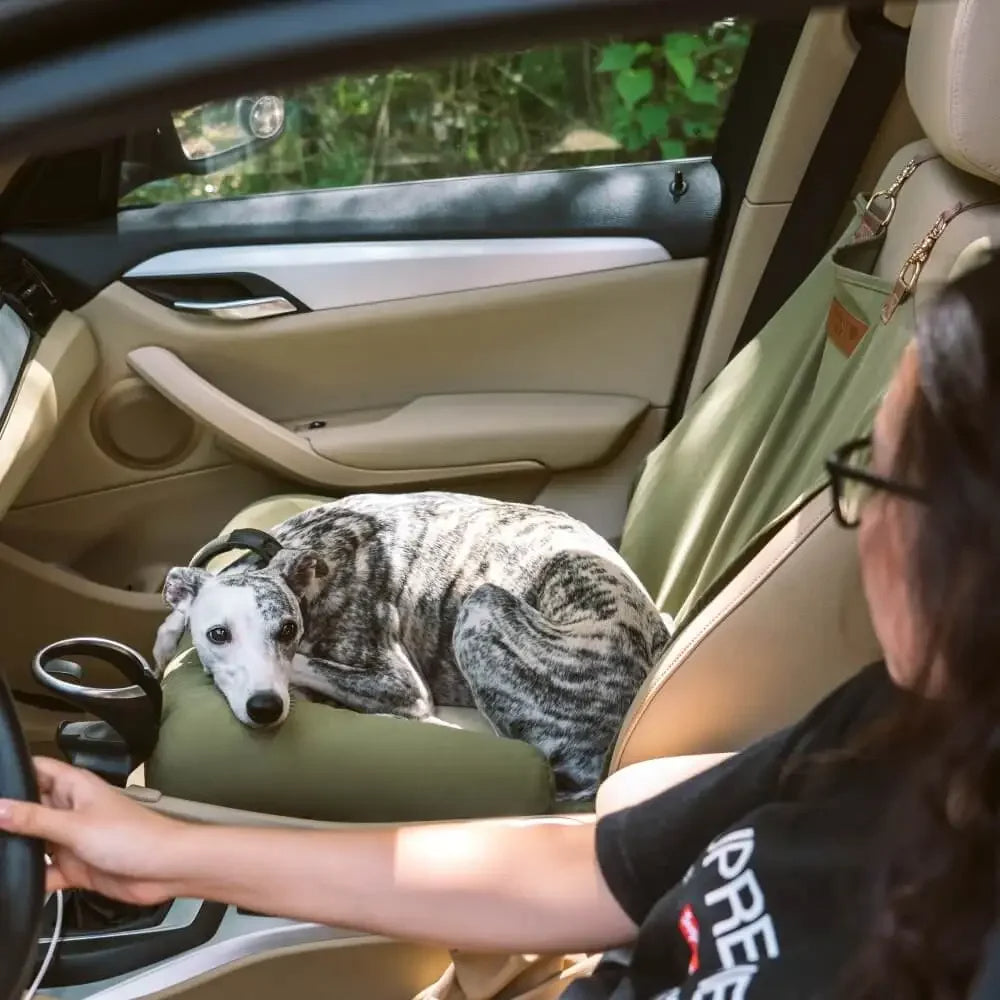 Orthopedic Checkered Dog Car Bed Plush
