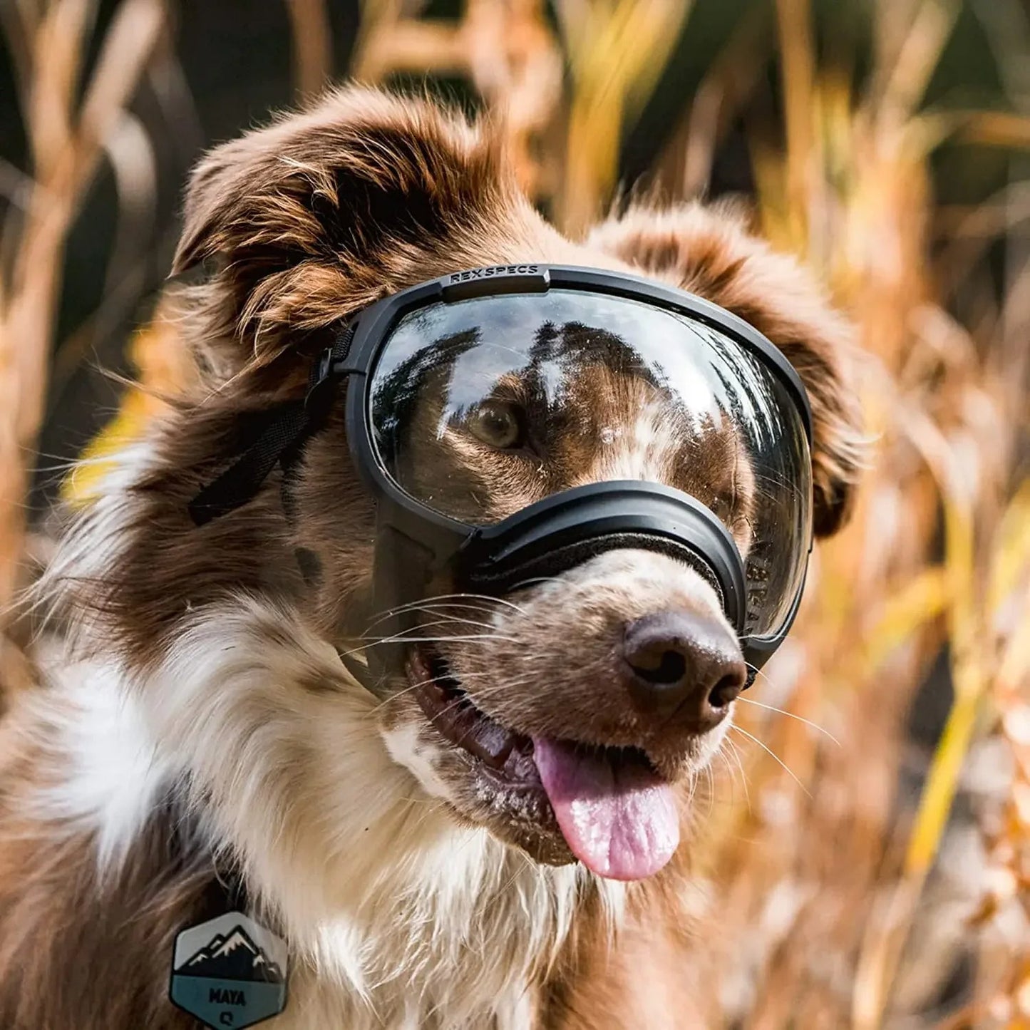 Waterproof Dog Sunglasses
