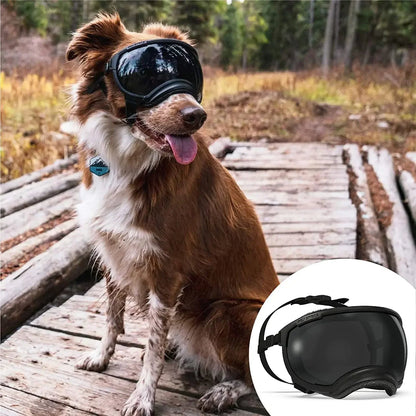 Waterproof Dog Sunglasses