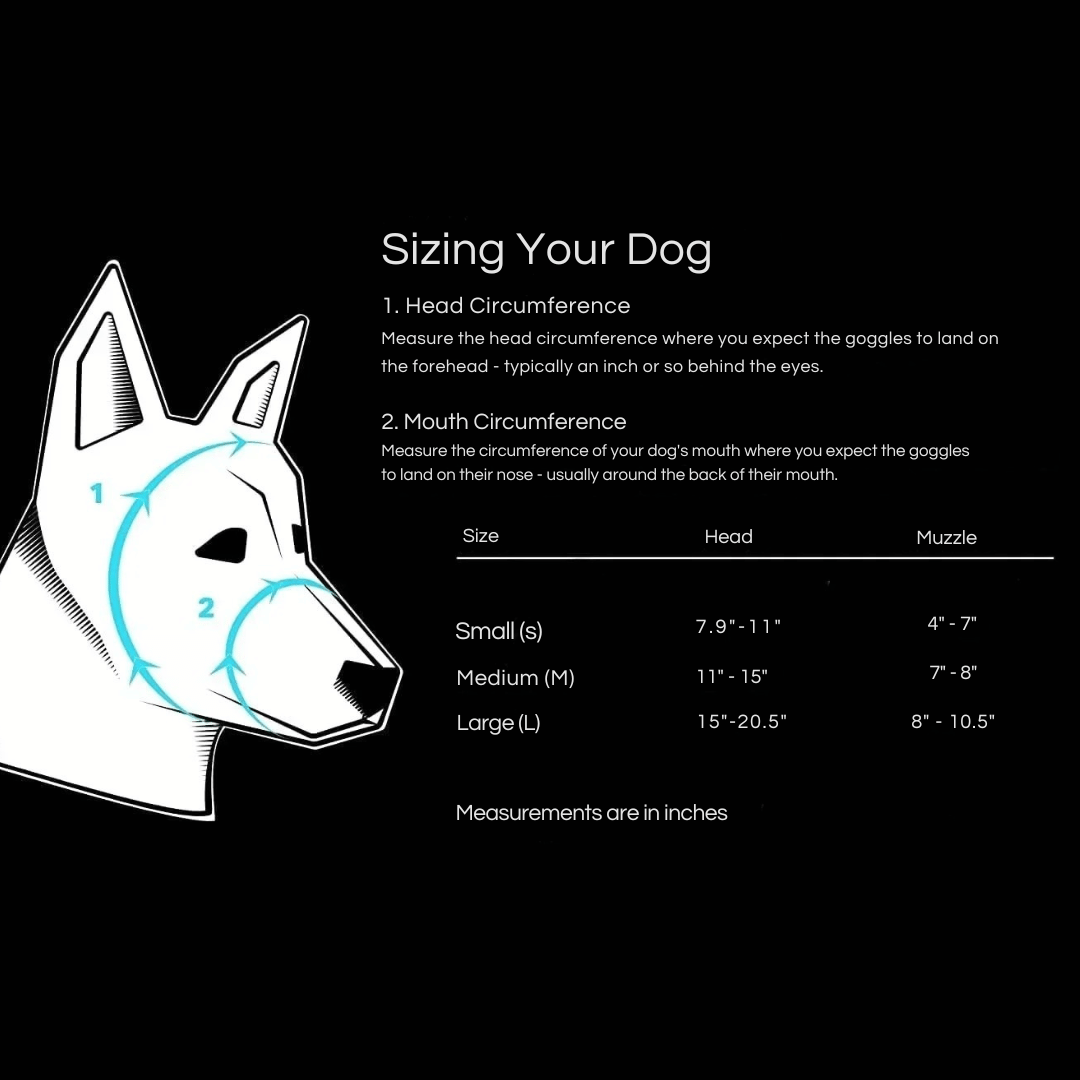 Waterproof Dog Sunglasses