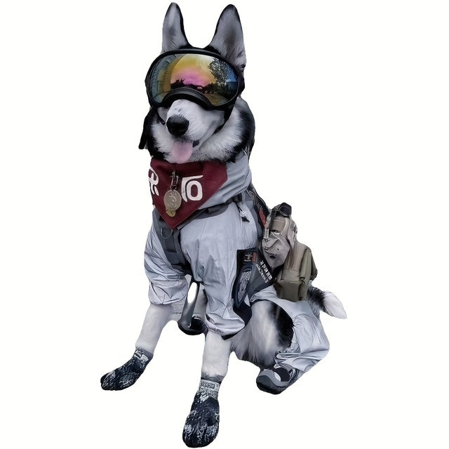 Waterproof Dog Sunglasses