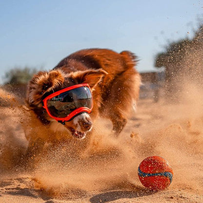Waterproof Dog Sunglasses