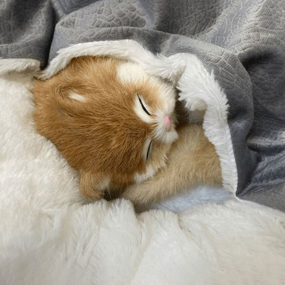 Pet Bed Plush Blanket for Cats Dogs