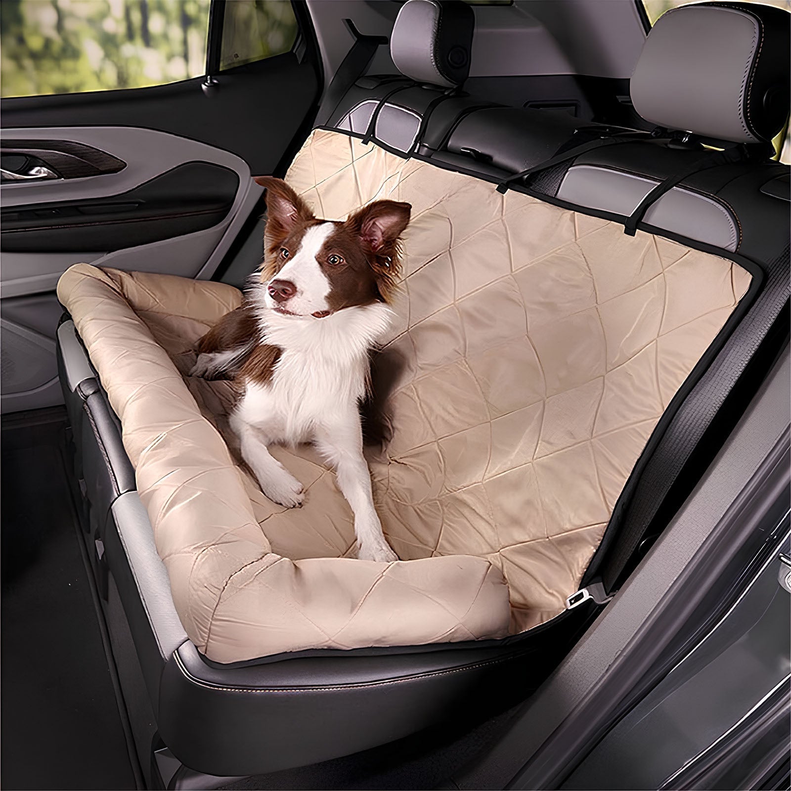 Pet Rear Car Seat Cover - Pupporia