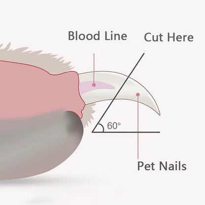 Pet Nail Trimmer With Led Light Safety Guard