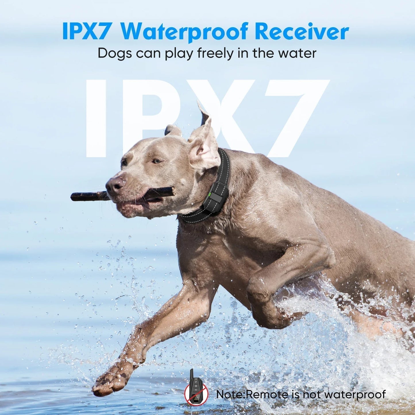 Electronic Dog Training Collar – Anti-Bark and Long Range 2