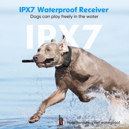 Electronic Dog Training Collar – Anti-Bark and Long Range 2