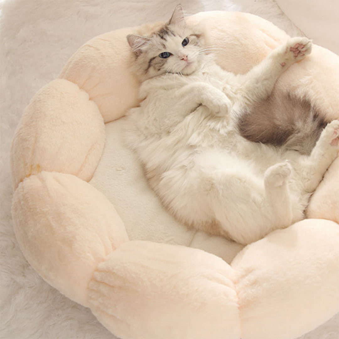 Petal Soft Cat Bed House -> Cat Pet Bed Soft House Revised to fit