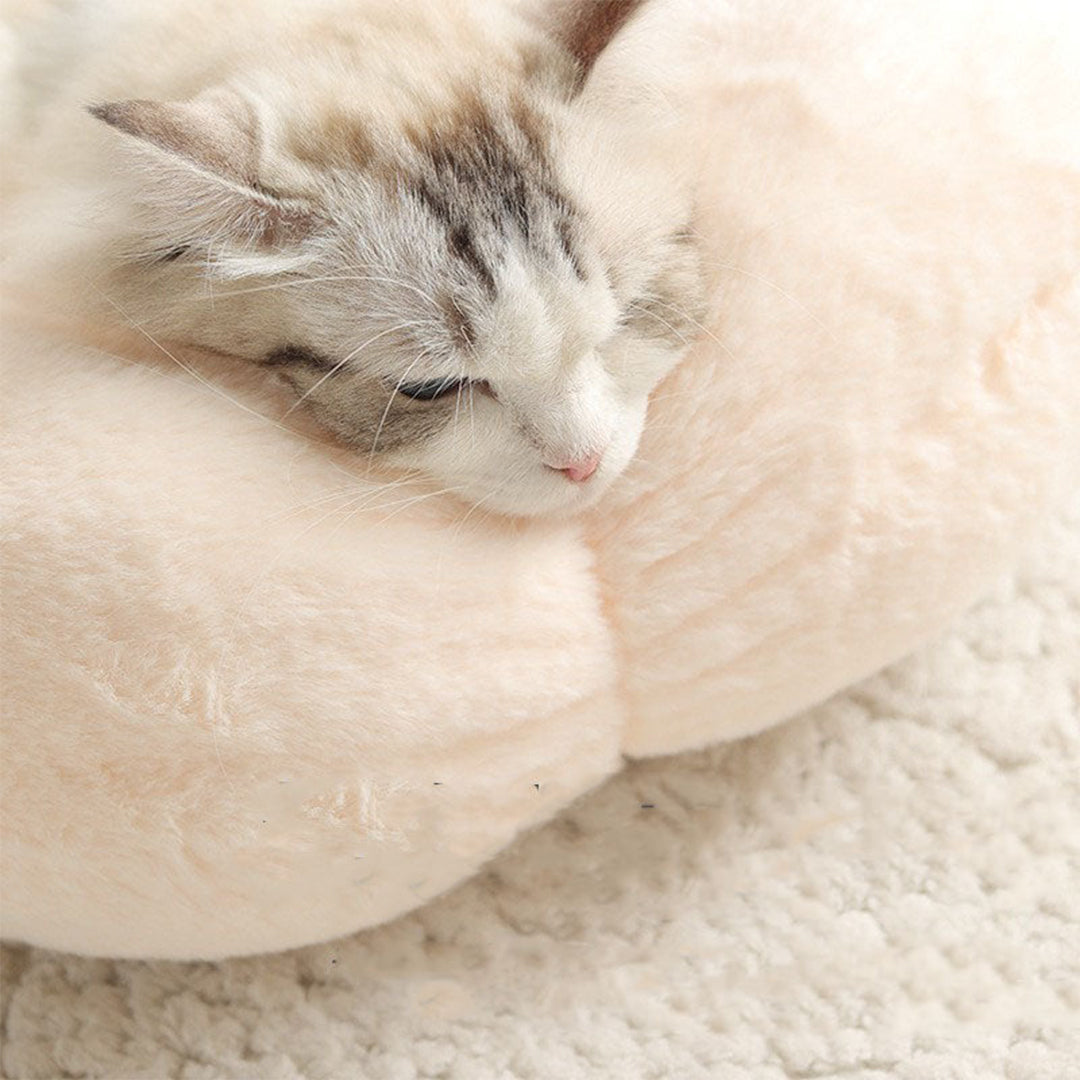 Petal Soft Cat Bed House -> Cat Pet Bed Soft House Revised to fit