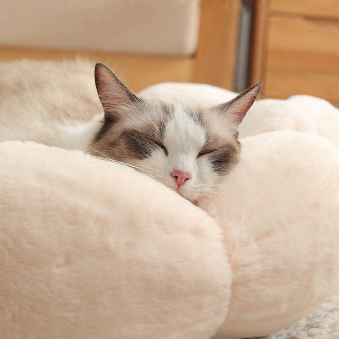Petal Soft Cat Bed House -> Cat Pet Bed Soft House Revised to fit