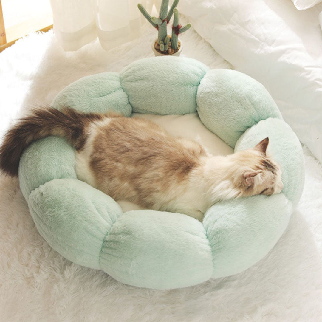 Petal Soft Cat Bed House -> Cat Pet Bed Soft House Revised to fit