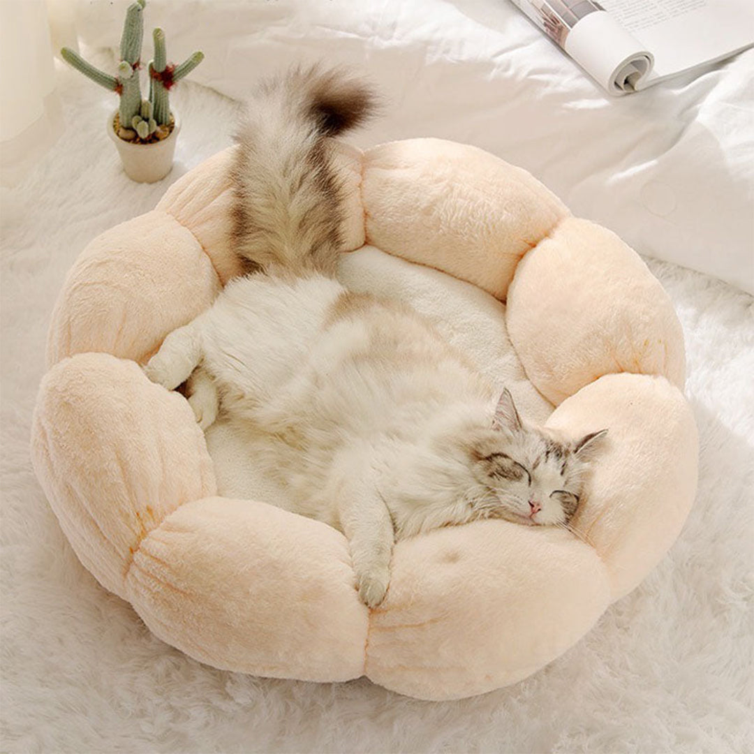 Petal Soft Cat Bed House -> Cat Pet Bed Soft House Revised to fit