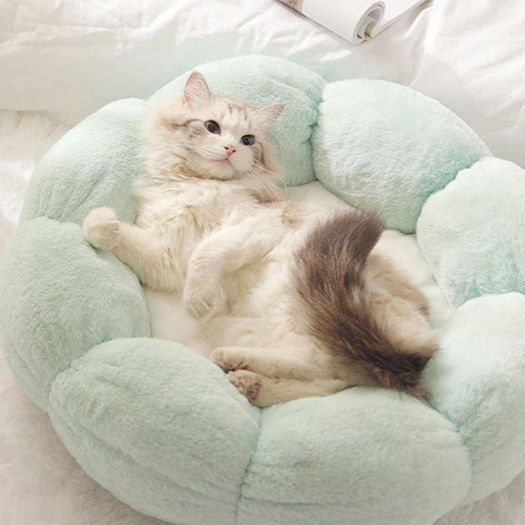 Petal Soft Cat Bed House -> Cat Pet Bed Soft House Revised to fit
