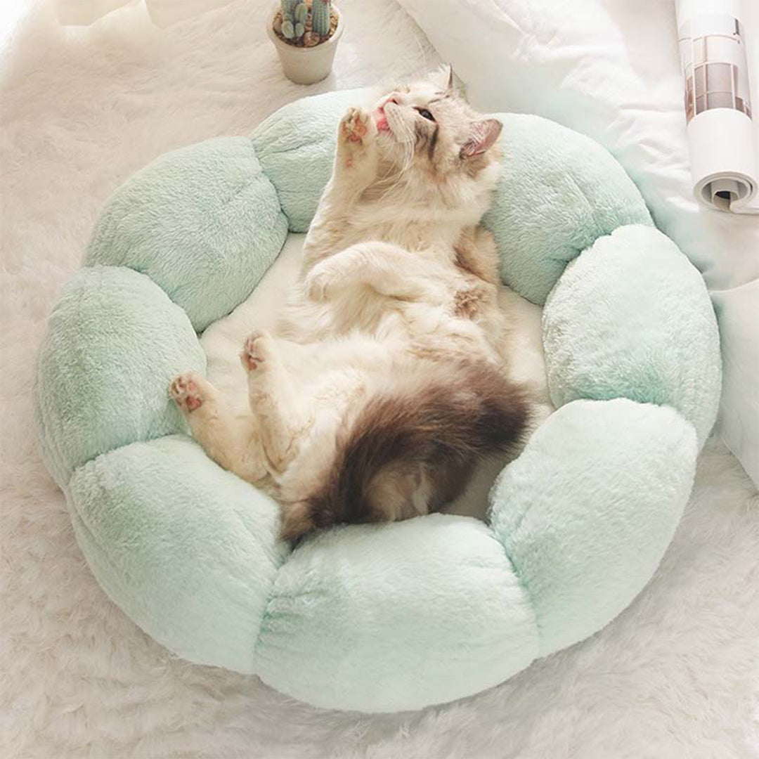 Petal Soft Cat Bed House -> Cat Pet Bed Soft House Revised to fit