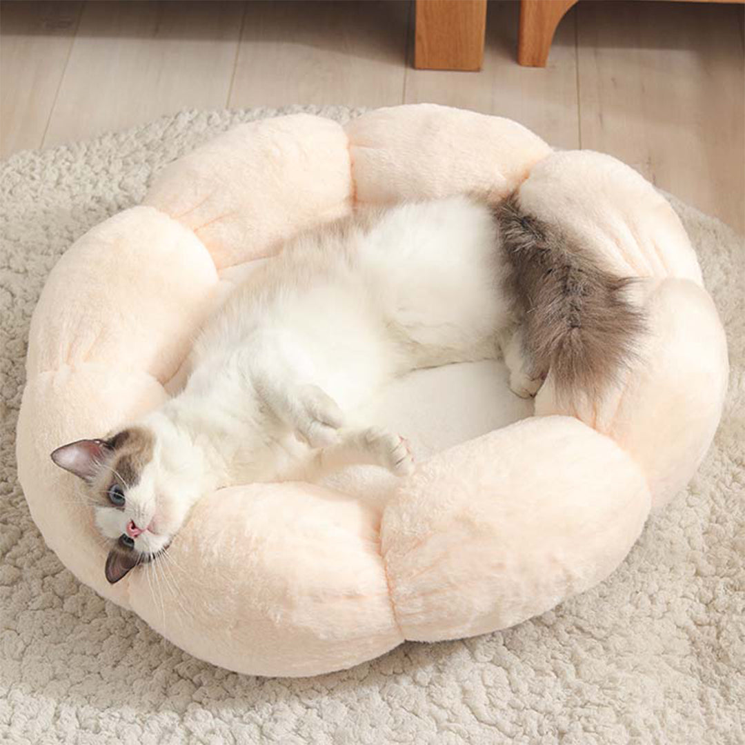 Petal Soft Cat Bed House -> Cat Pet Bed Soft House Revised to fit