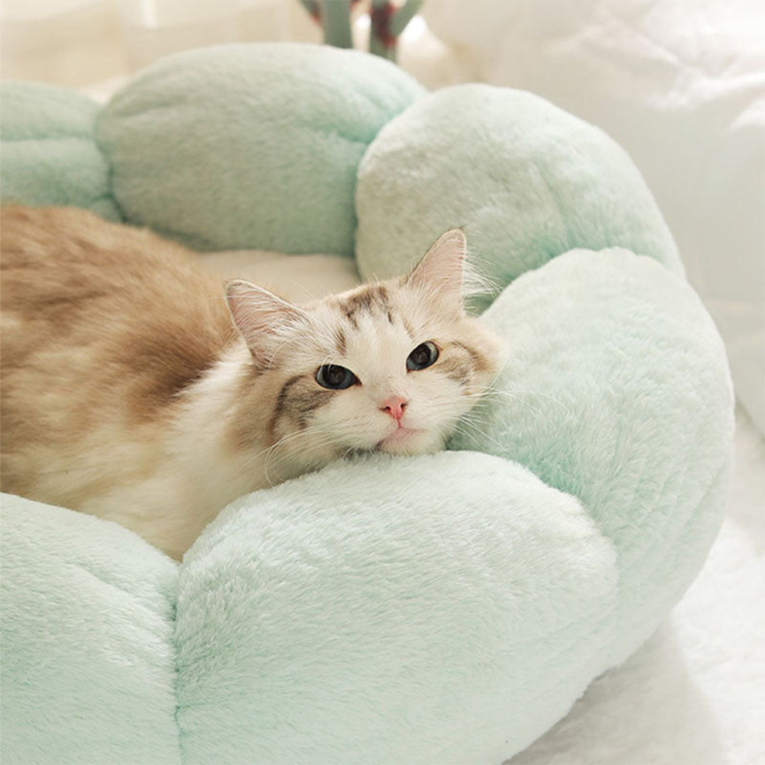 Petal Soft Cat Bed House -> Cat Pet Bed Soft House Revised to fit