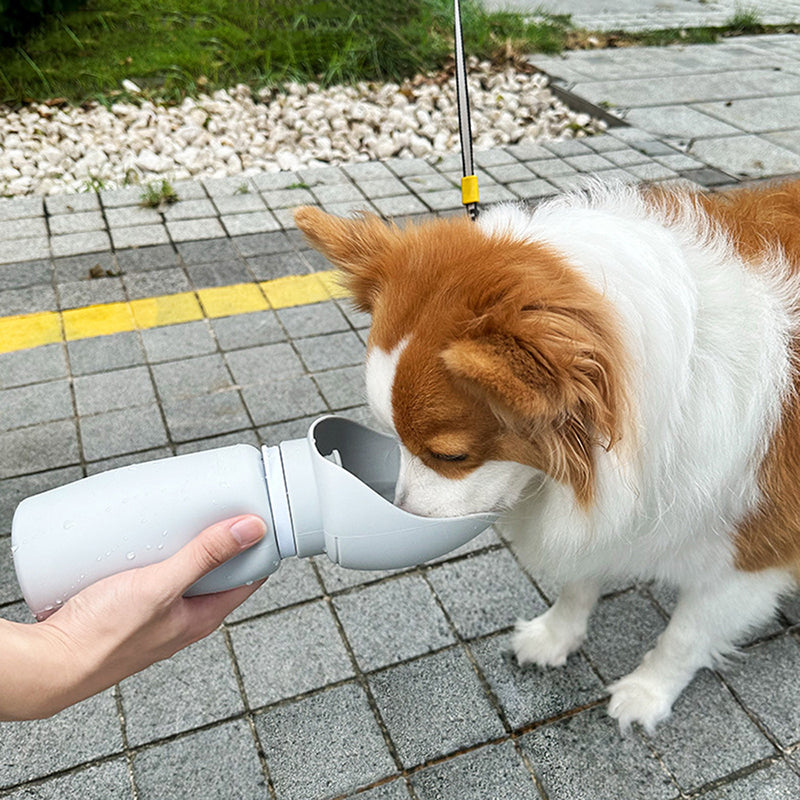 Portable Pet Water Bottle - Pupporia