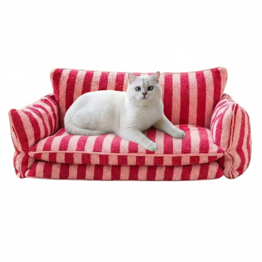 Colorful Cat Sofa Bed Soft Cushion - Pupporia
