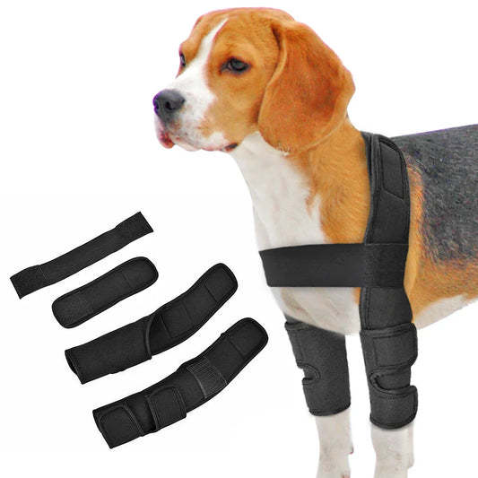 Recovery Knee Wrap Support - Pupporia