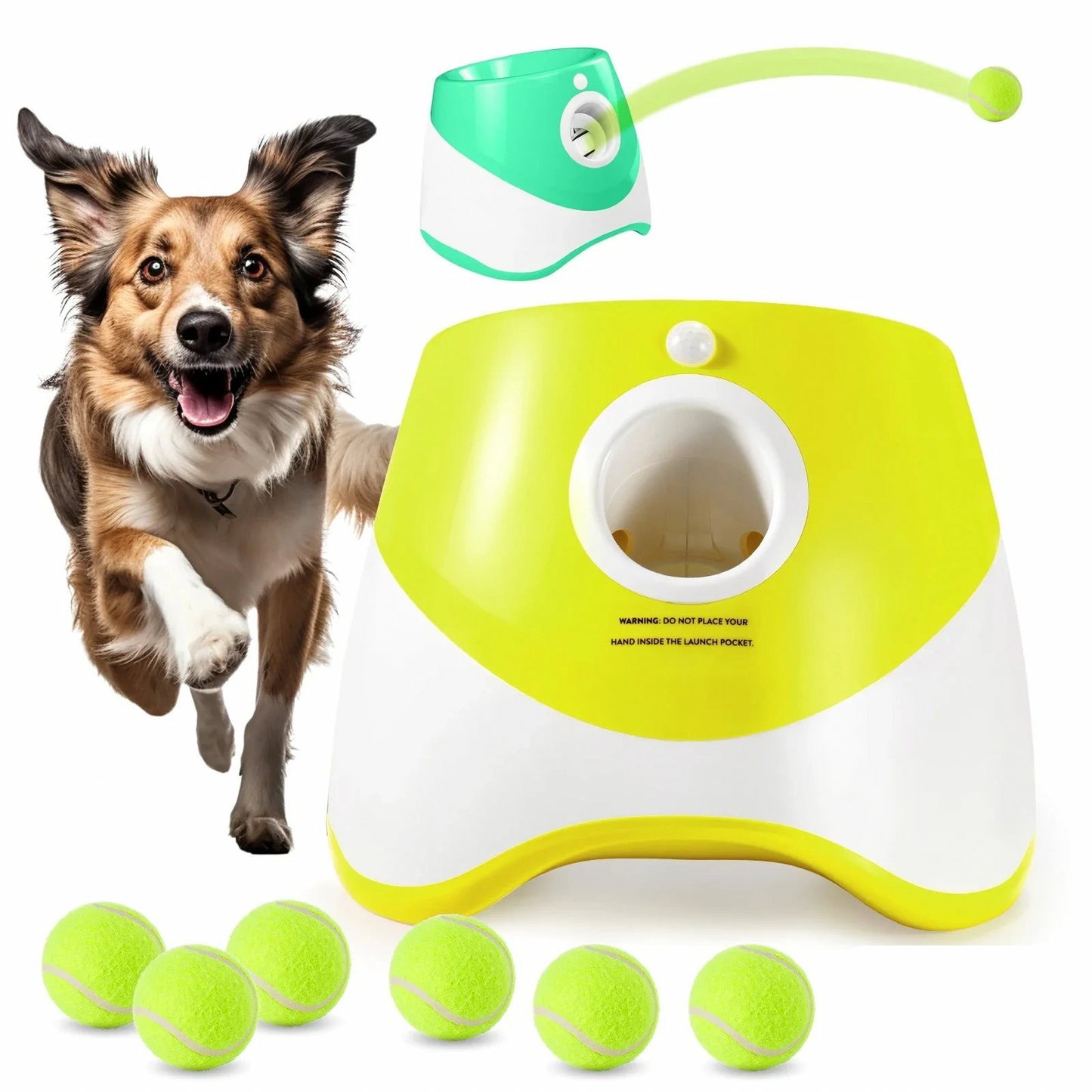 Automatic Dog Ball Launcher Interactive