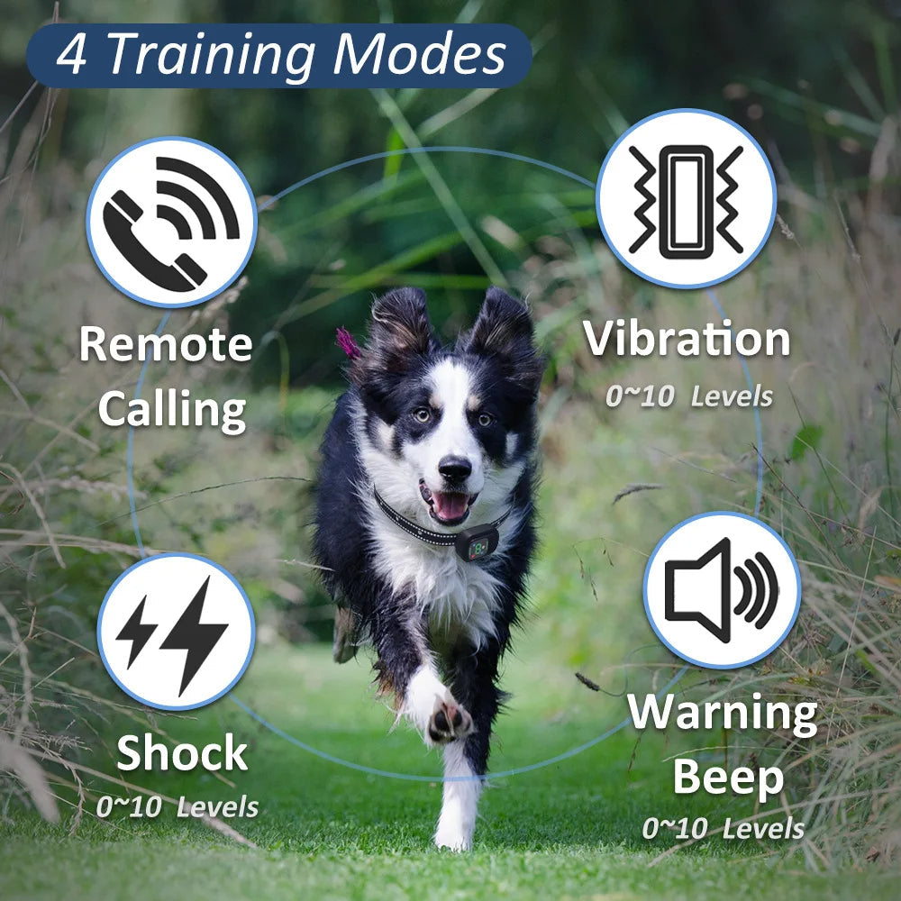 Long Distance Remote Control Dog Training Collar with Voice Call, Safe Shock, Vibration & Beep Warnings 2