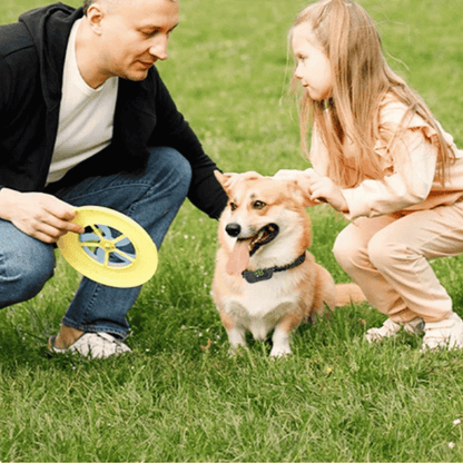 Long Distance Remote Control Dog Training Collar with Voice Call, Safe Shock, Vibration & Beep Warnings 6