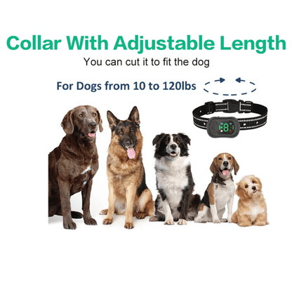 Long Distance Remote Control Dog Training Collar with Voice Call, Safe Shock, Vibration & Beep Warnings 7