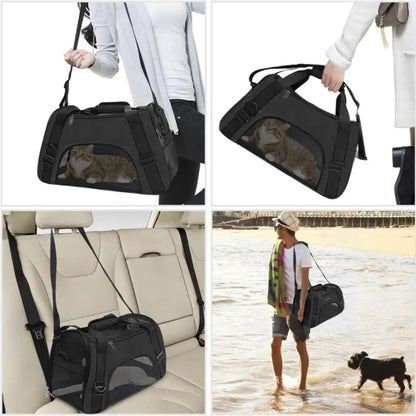 Pet carrier used by a person, on a car seat, and at the beach with a dog