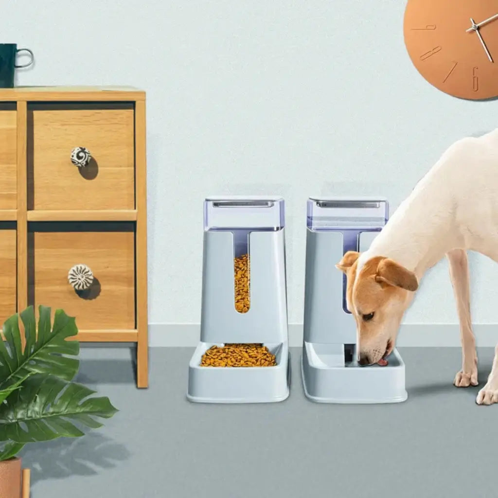 Pet feeder and water dispenser with a dog drinking water in a home setting