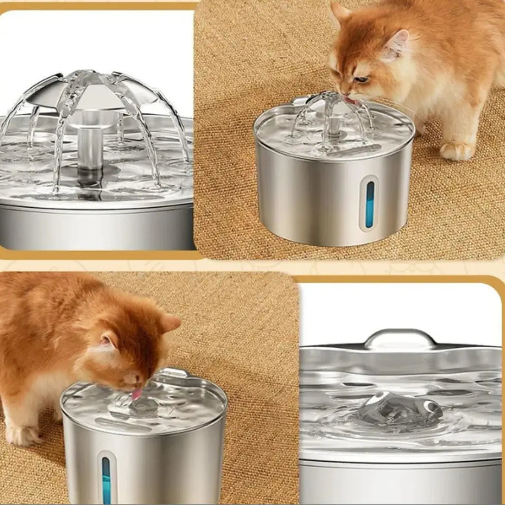 Pet water fountain with a cat drinking from it, shown in multiple angles