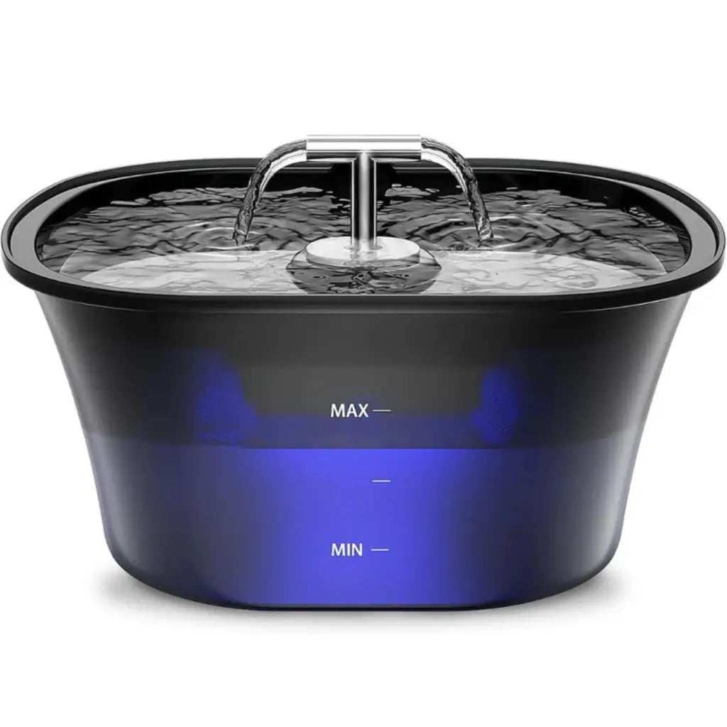 Pet water fountain with black top on a white background