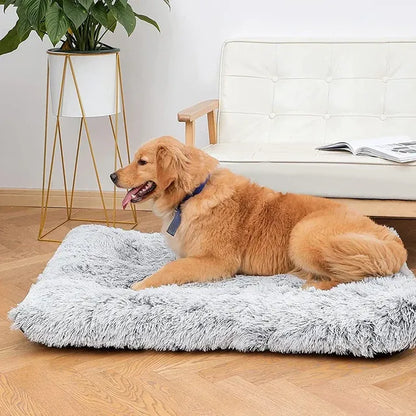 Pet Bed Mattress Soft Plush Removable Cover