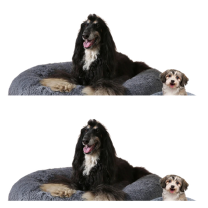Comfy Dog Bed Donut Shape Removable Cover