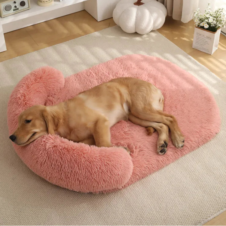 Plush Dog Bed with Supportive Bolster for Head & Neck | Leak-Proof & Washable 4