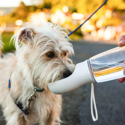 Portable Dog Water Bottle For Small Pets