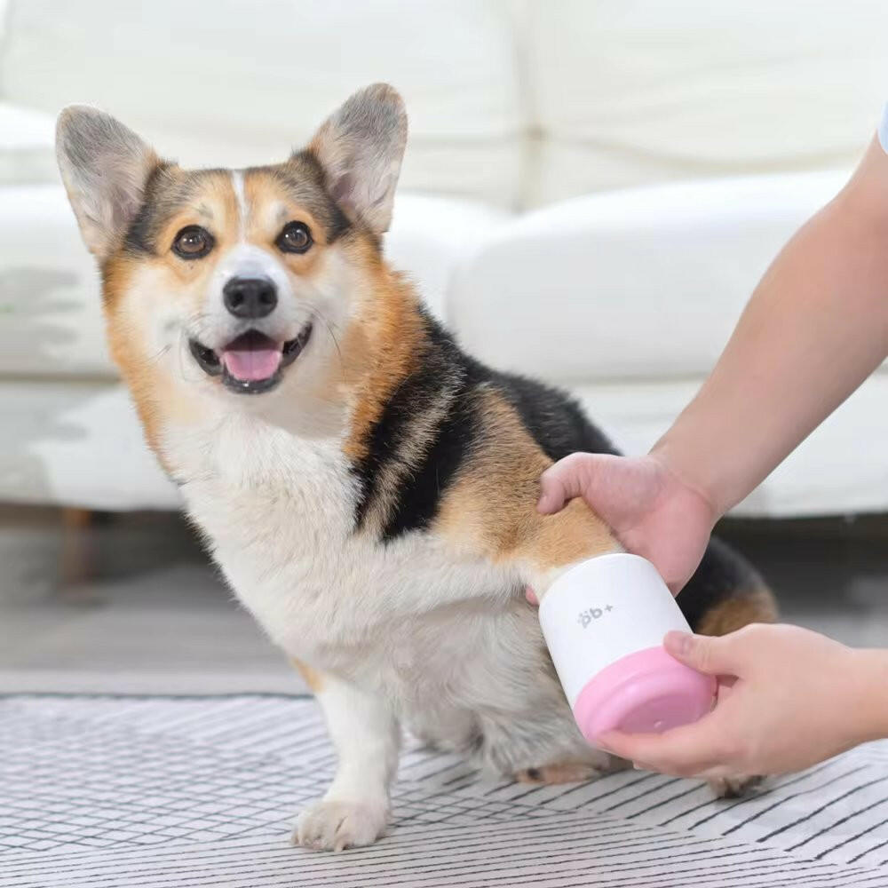 Pet Paw Washer Gentle Soft Bristles - Pupporia