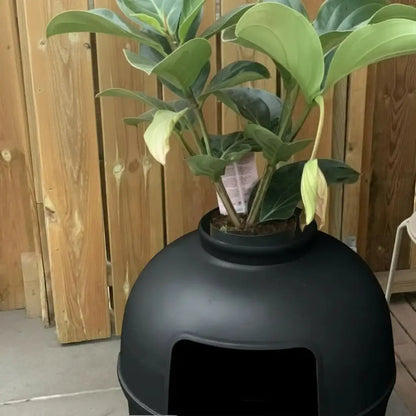 Potted plant on a black cylindrical litter box against a wooden fence background