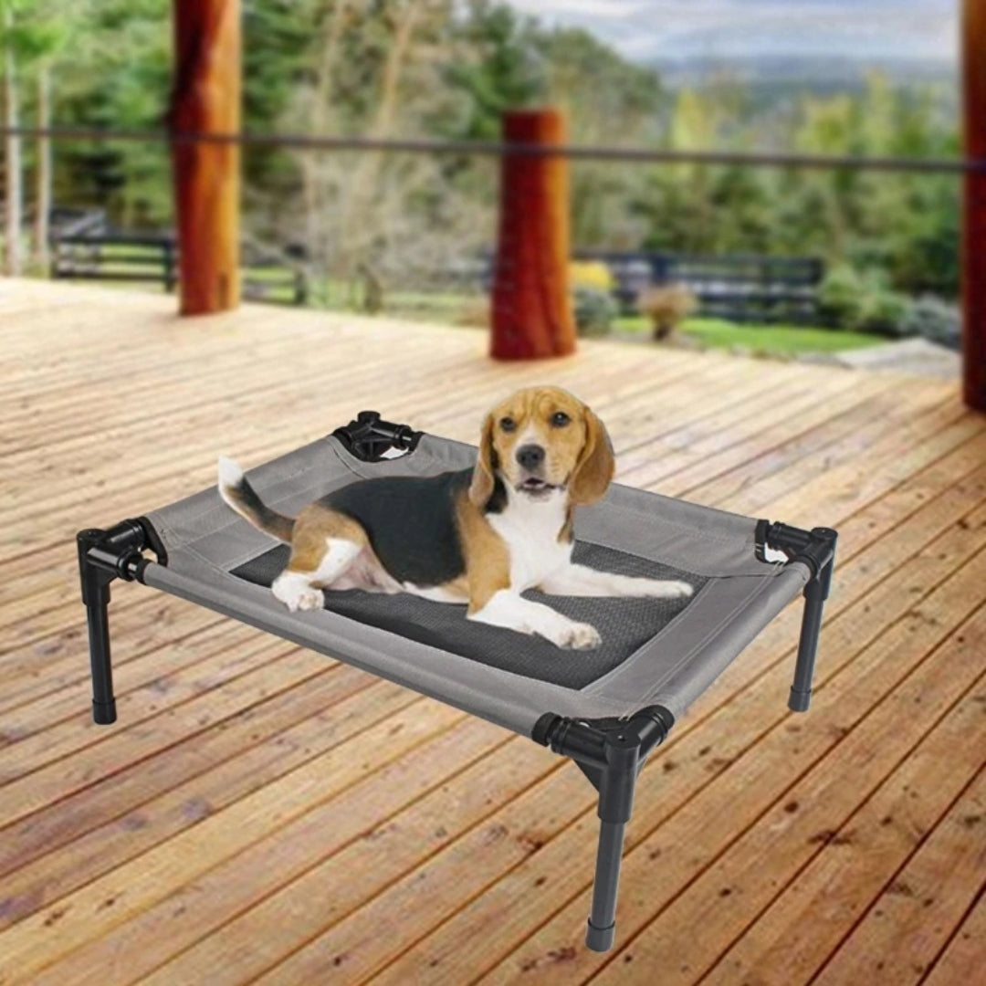 Pet Bed With Steel Frame Elevated Design