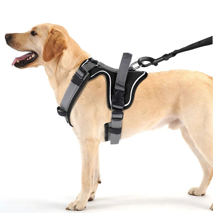 Puppy Harness Vest Secure Grip Adjustable - Pupporia