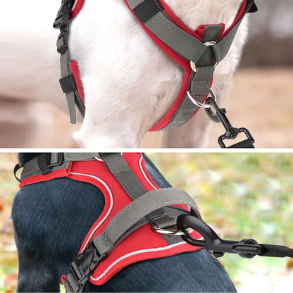 Puppy Harness Vest Secure Grip Adjustable
