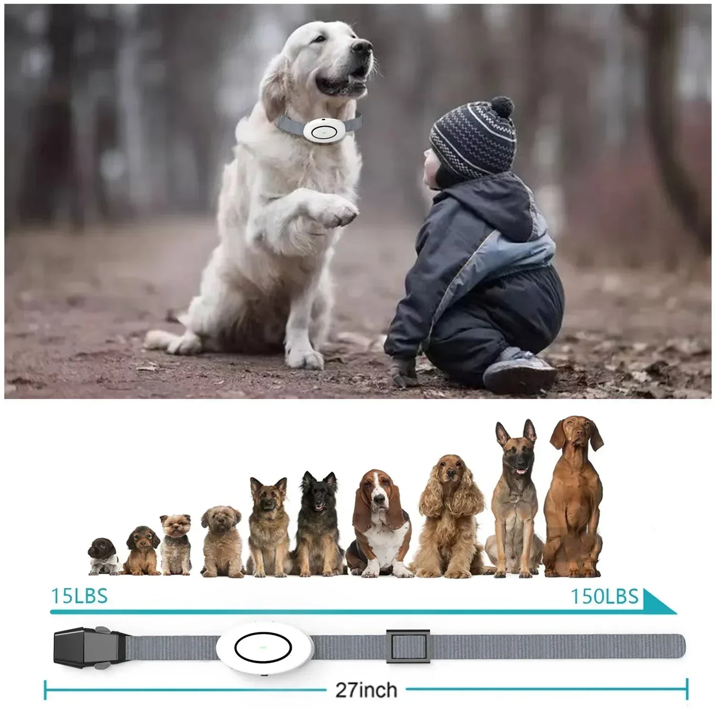 Wireless Pet Training Collar Rechargeable Remote