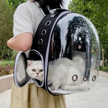 Transparent Pet Backpack Carrier