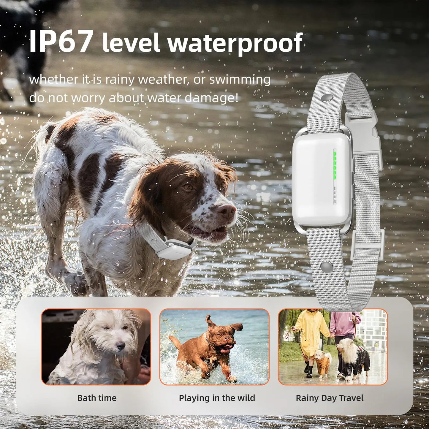 Rechargeable Long Range Electric Dog Training Collar
